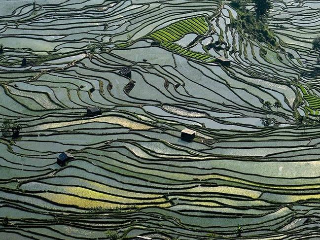 Dünya mirası çeltik tarlaları Asya'yı çekim merkezi yaptı