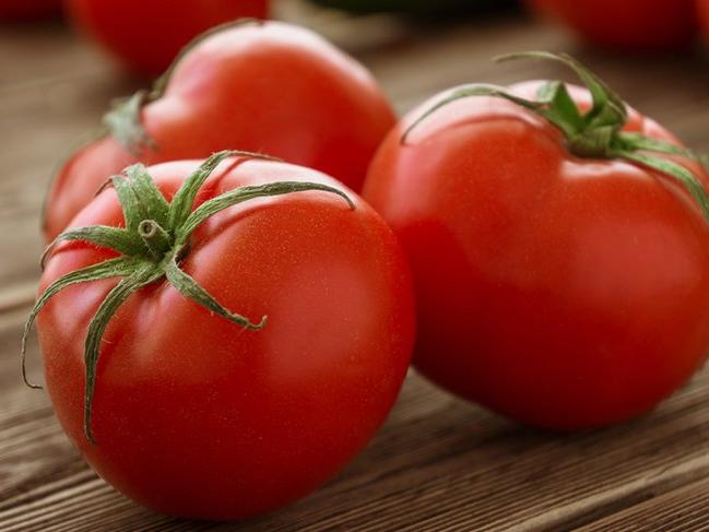 Tanzimin yıldızı domatesin ihracatı arttı
