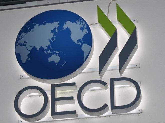 OECD: Türkiye 2019'da daralacak