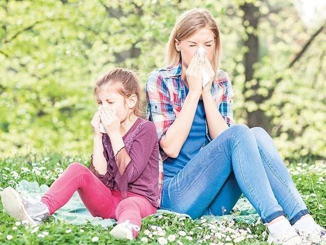 Bahar alerjisi hangi aylarda olur? İşte bahar alerjisinden korunma yöntemleri