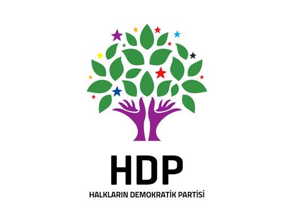 HDP 5 ilçede seçimin yenilenmesini isteyecek
