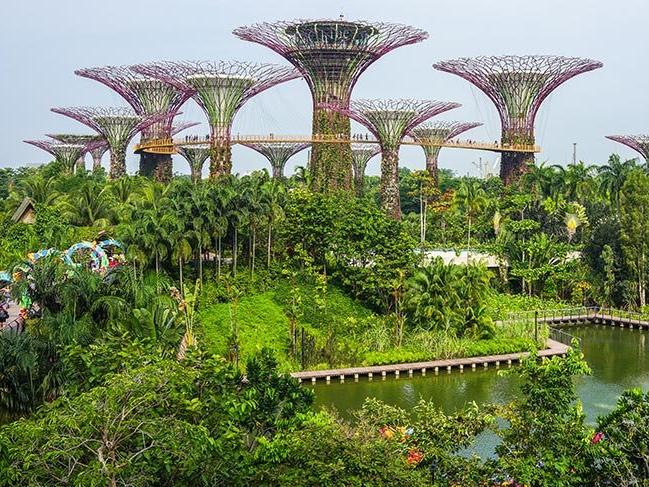Singapur'un masal diyarı botanik bahçeleri