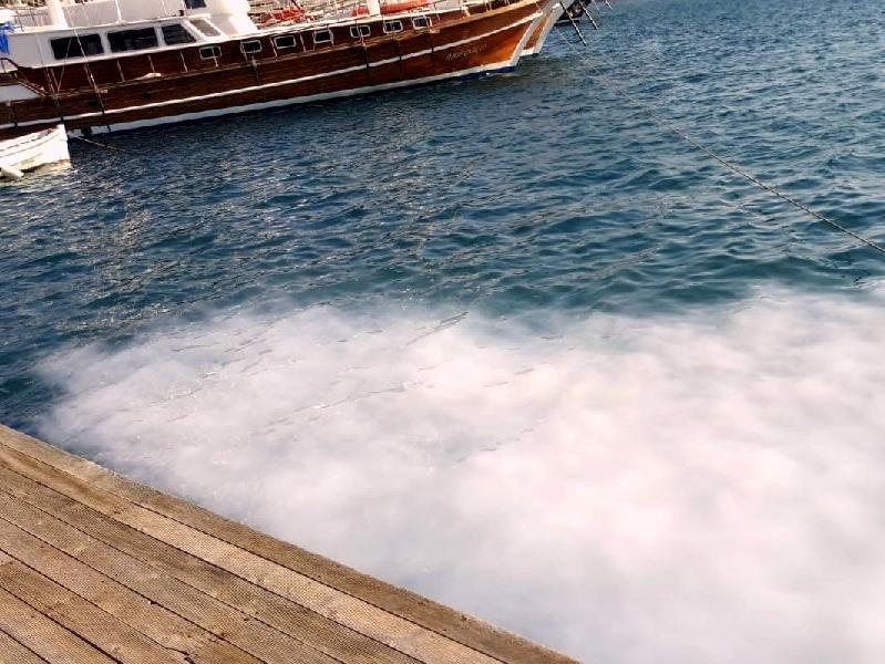 Muğla Bozburun'da deniz kirletiliyor