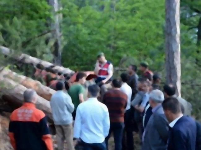 Karabük'te iki orman işçisi kestikleri ağacın altında kaldı