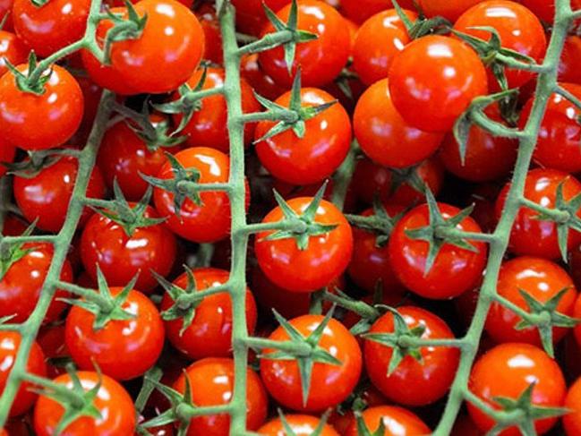 Ukrayna, 38 ton Türk domatesini geri gönderdi