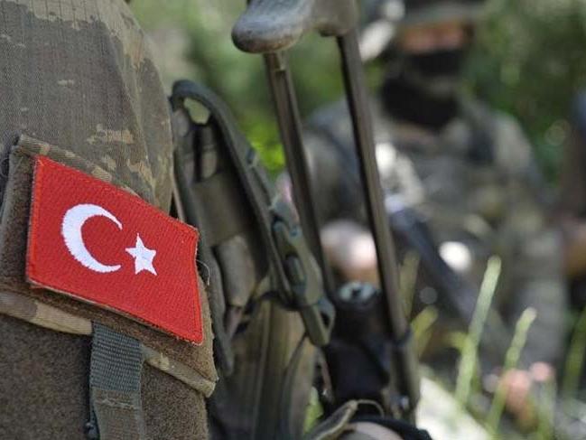 Siirt'te bir PKK'lı jandarmaya teslim oldu