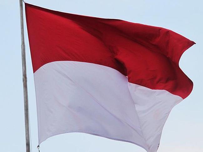 Endonezya'da devlet başkanlığı ve milletvekili seçimi