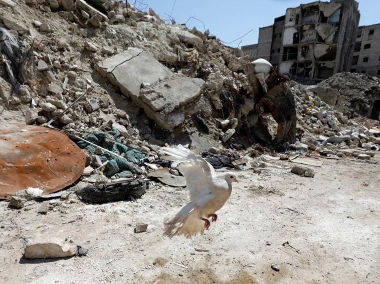 Suriye: Halep'e iki top mermisi düştü