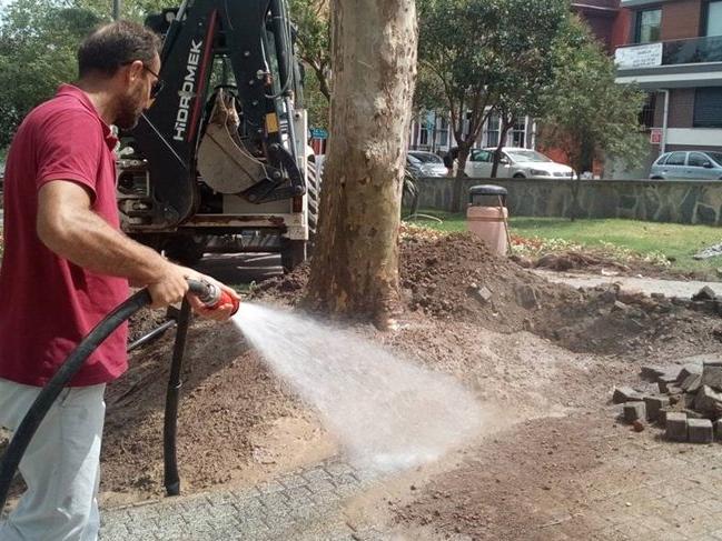 İBB’nin 6.3 milyonluk ağaç sulama işi AKP’li yöneticinin şirketine verildi
