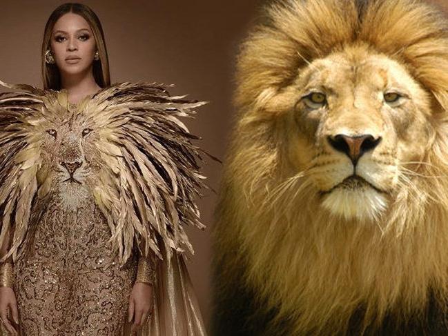 Beyonce'den Aslan Kral'a gönderme