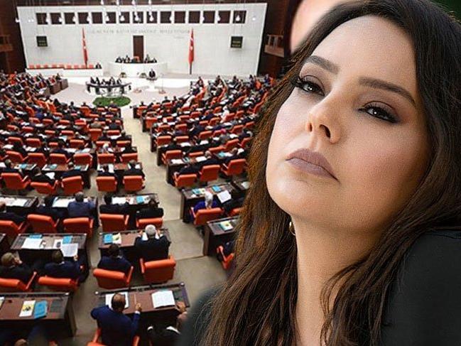 Meclis'te Ebru Gündeş'li VİP tartışması