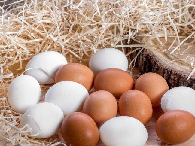 Yumurta üretimi yüzde 3.4 azaldı