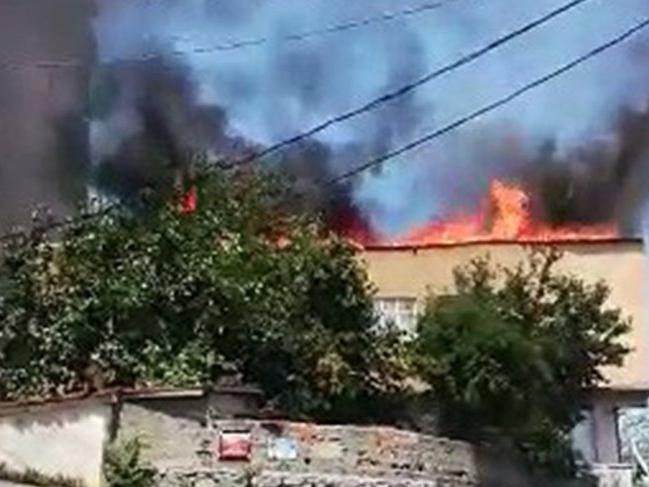 Gaziosmanpaşa'da acı olay! 200 tanesi öldü