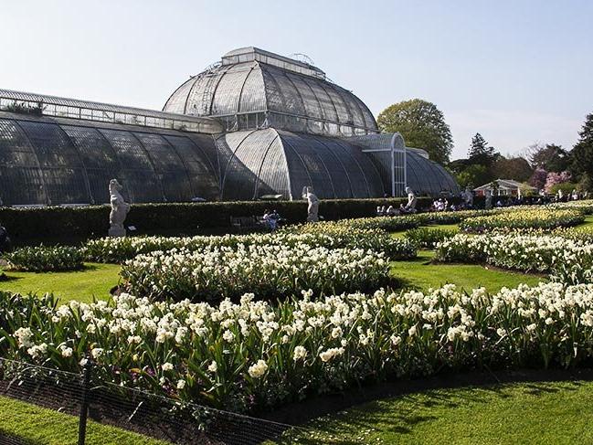 İngiltere Kraliyeti’nin dünya mirası Kew Gardens
