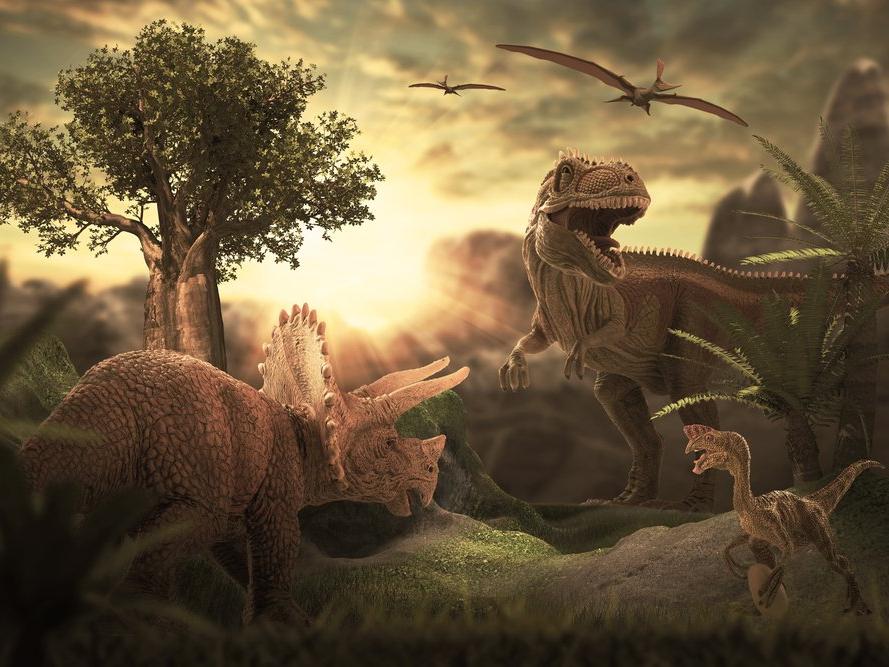 Dinozor nasıl yazılır? TDK güncel yazım kılavuzuna göre dinazor mu, dinozor mu?