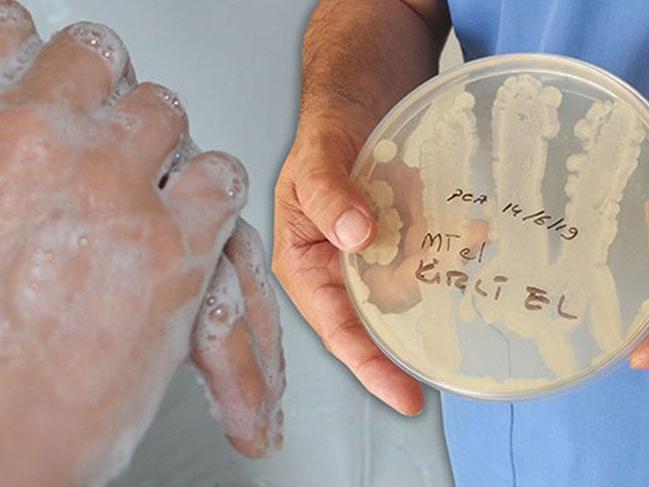 Prof. Dr. Tayar: Doğru yıkanmayan el, ölüme götürebilir