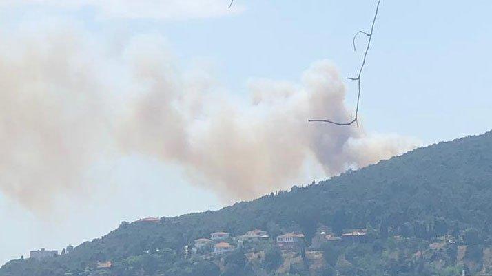 Heybeliada'da yangın: 1 hektar kızılçam kül oldu!