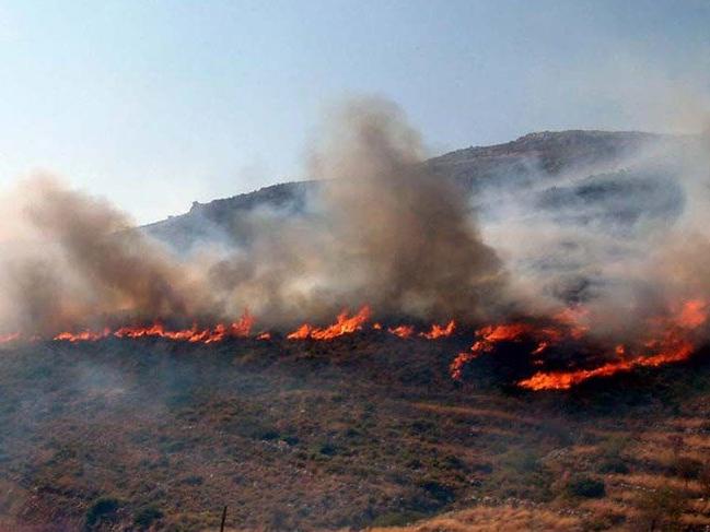 Ünlü tatil merkezlerindeki ormanlar tam yarım asırdır yanıyor