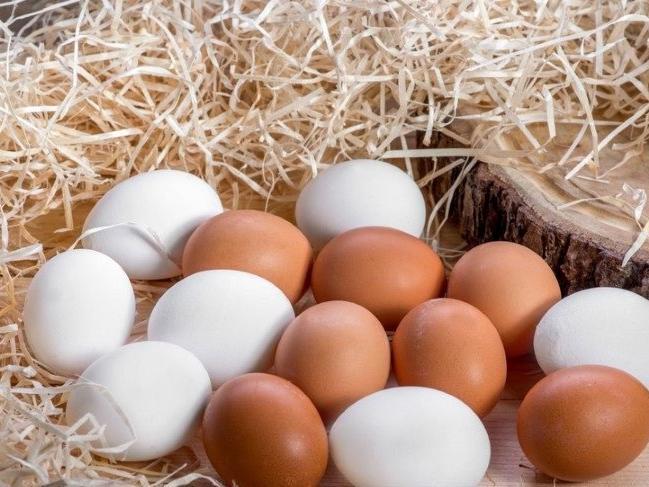 Tavuk yumurtası üretimi Mayıs'ta arttı