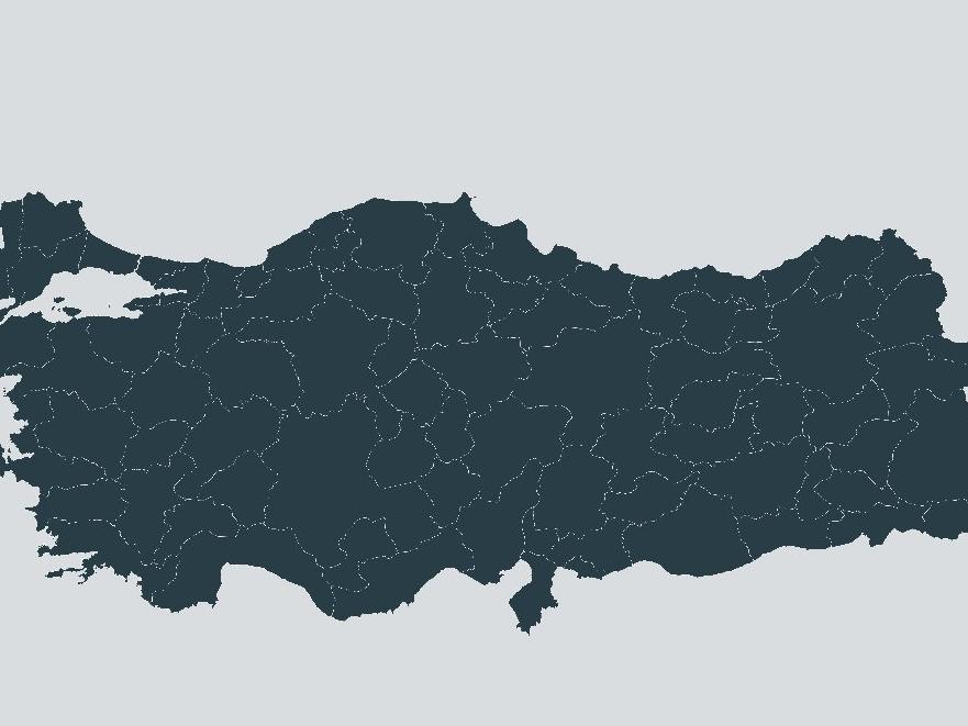 Türkiye'de kaçak içkinin oranı ne? Yaşamını yitirenlerin sayısı gün geçtikçe artıyor