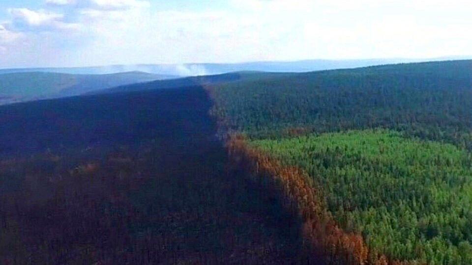 Sibirya'da 3 milyon hektarlık orman kül oldu