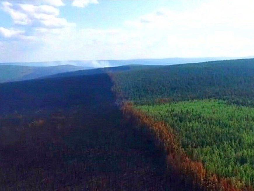 Sibirya'da 3 milyon hektarlık orman kül oldu