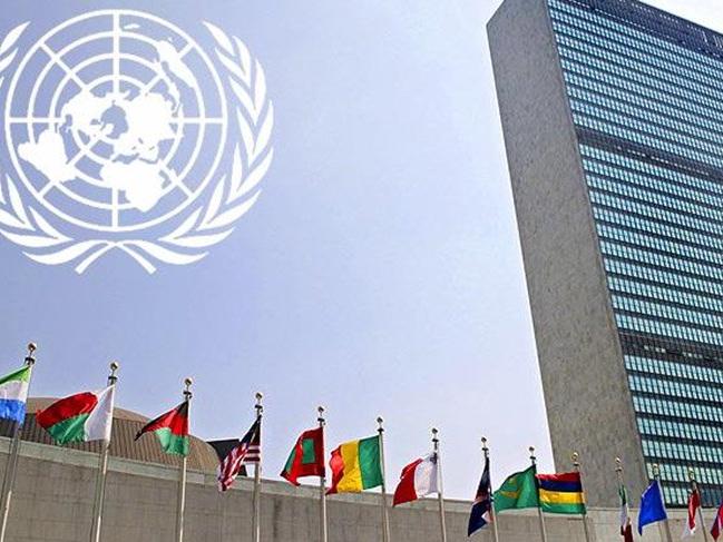 BM'den kritik Suriye kararı