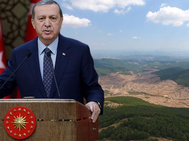 Kaz Dağları'ndaki katliamdan sonra Erdoğan'ın o konuşması yeniden gündem oldu