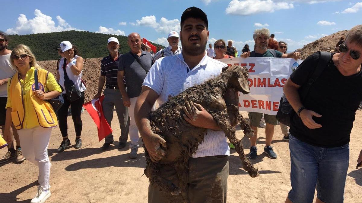 Kaz Dağları'nda çamura bulanmış bir oğlak vatandaşlar tarafından kurtarıldı