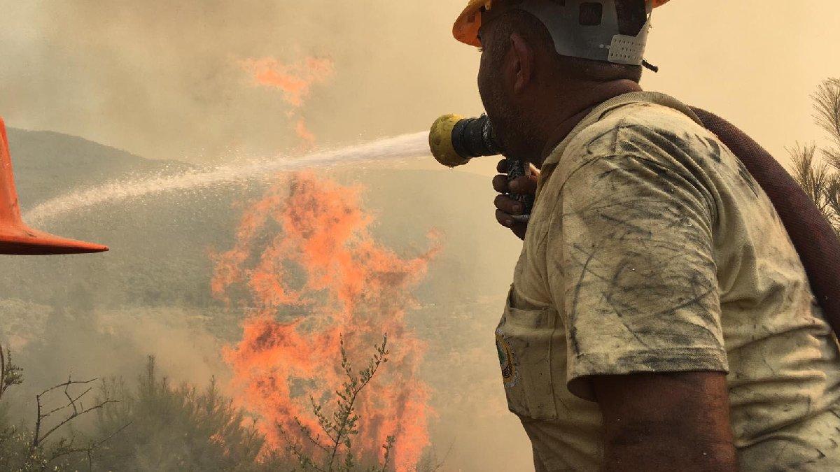 Son dakika... Bodrum'daki orman yangını kontrol altına alındı!