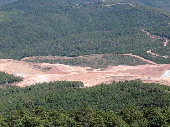 TEMA Vakfı, 'Kiraz'lıda 195 bin ağaç kesildi' iddiasını madde madde anlattı
