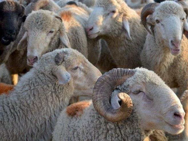 Bayram tatili kaç gün? Kurban Bayramı tam olarak ne zaman başlıyor arefe hangi gün?