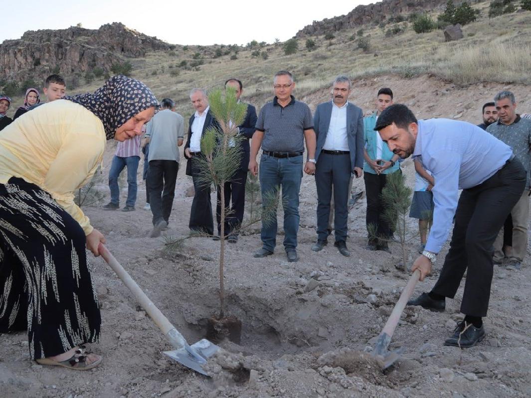 AKP'li belediyeden örnek proje: Her doğan ve ölen için bir ağaç dikilecek