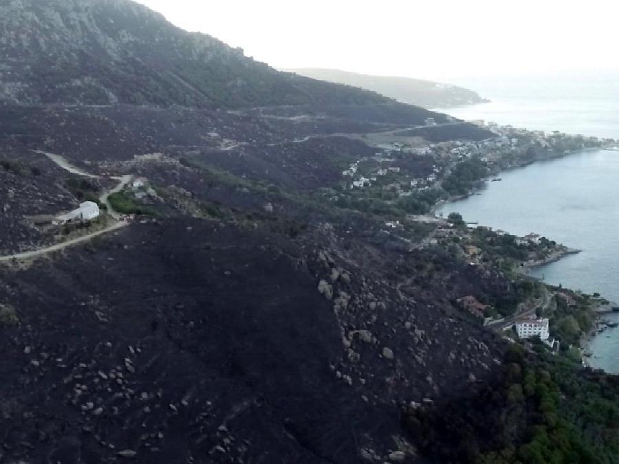 Marmara Adası yangınında 1 şüpheliye gözaltı