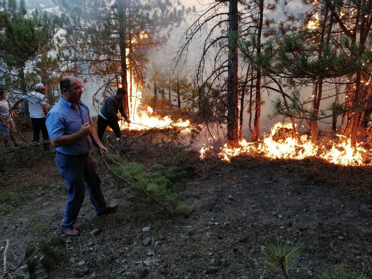 Eskişehir'deki orman yangını kontrol altına alındı