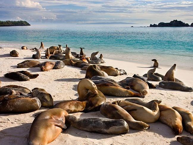 Gizli kalmış fantastik dünya: Galapagos Adaları