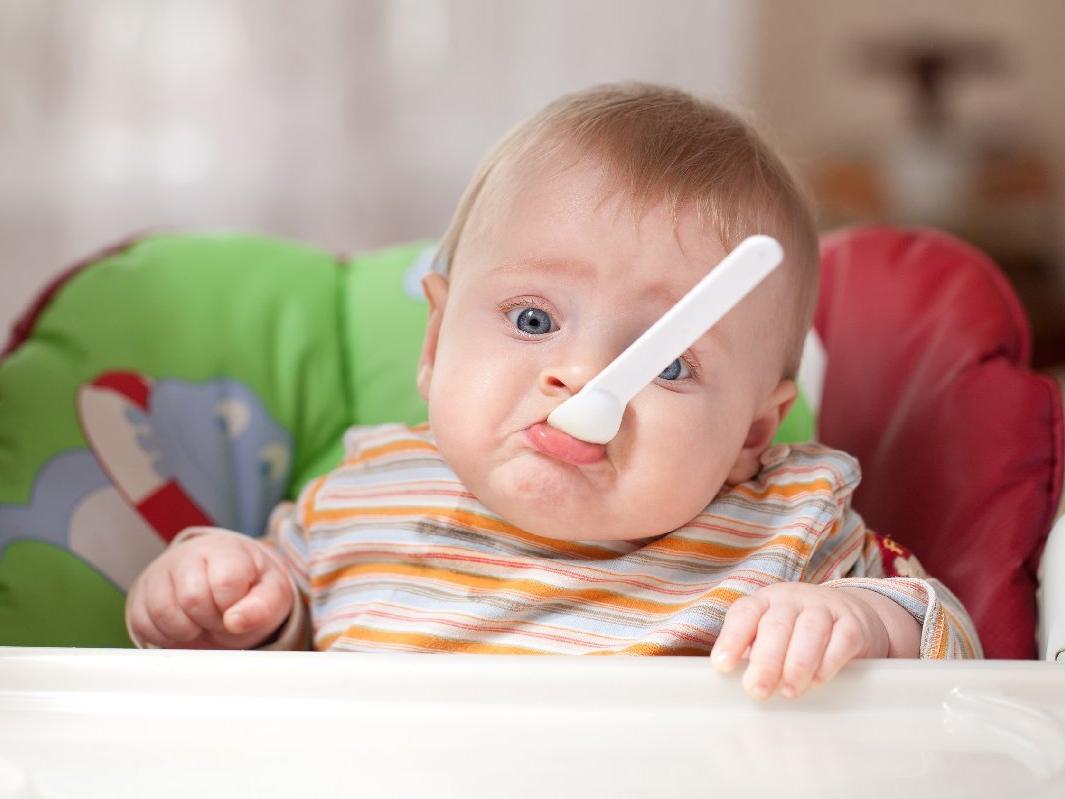 6-8 aylık bebek yemeğinde neler olmalı?