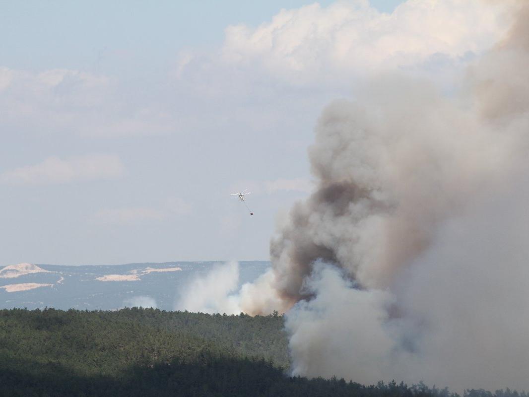 Bursa Orman Bölge müdürü: Havadan yaptığımız inceleme sabotaj ihtimalini doğruluyor