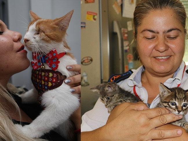 İki iyi kadın: Engelli kedileri sahipsiz bırakmadılar