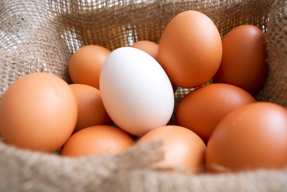 Bayat yumurta nasıl anlaşılır?