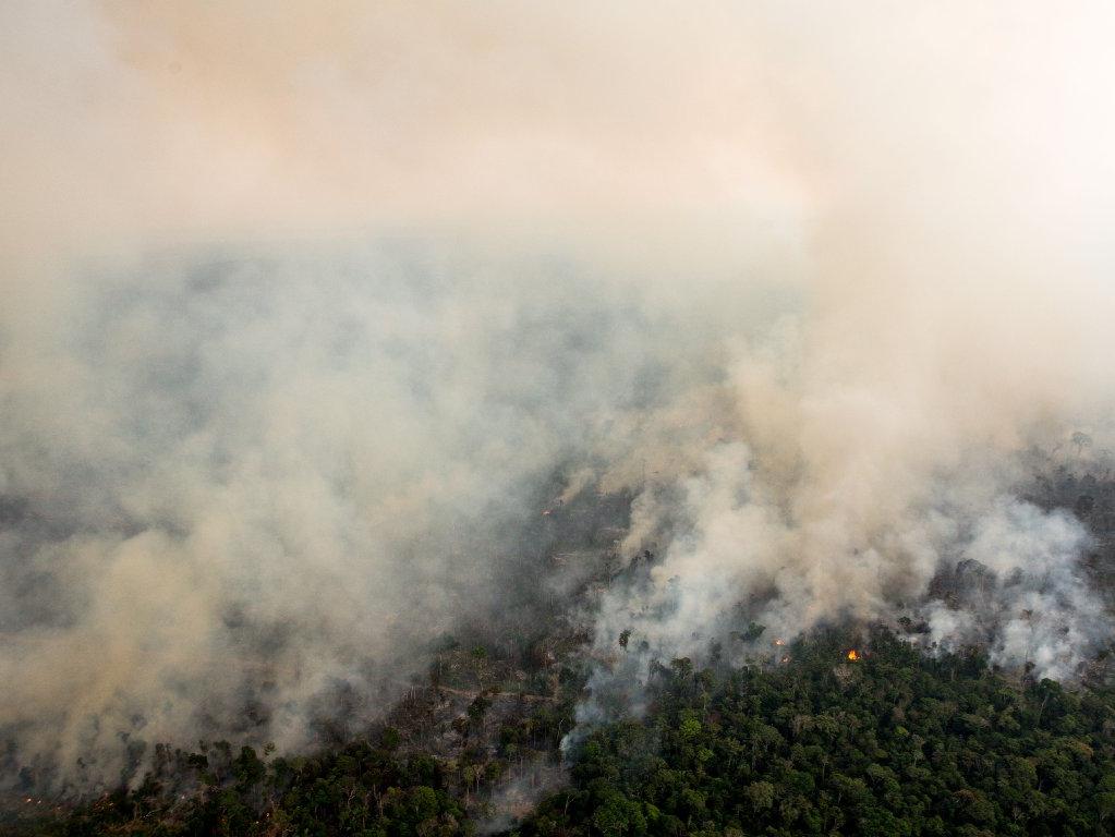 Orman yangınları iklimi nasıl etkiliyor?