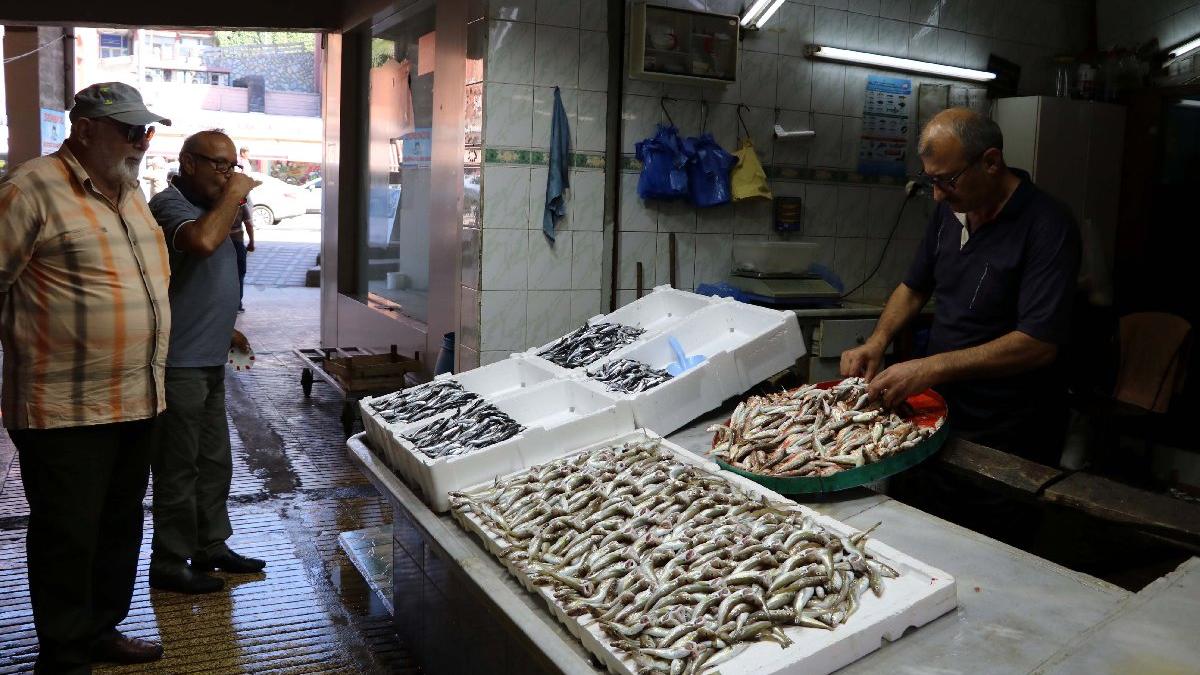 Balıkçılar sezona hayal kırıklığıyla başladı: Palamut yok