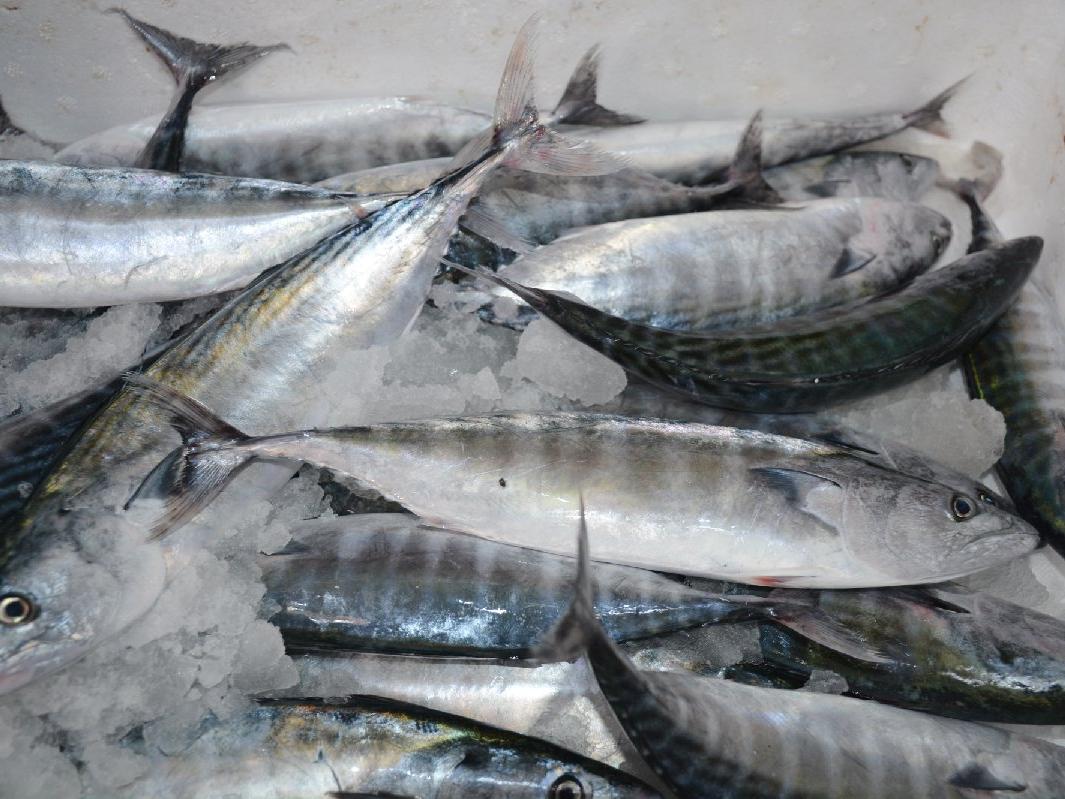 Uzmanlar balık sektöründeki değişim için ne diyor?