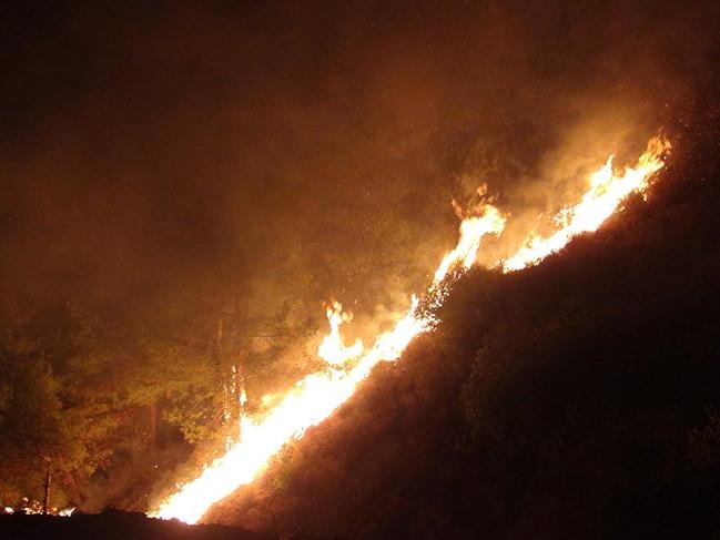 Hatay’da 25 farklı noktada orman yangını!