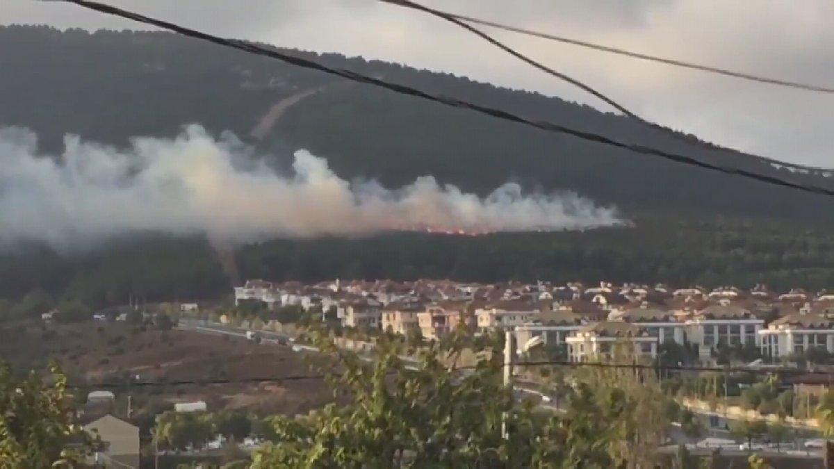 İstanbul'da şüpheli orman yangını!
