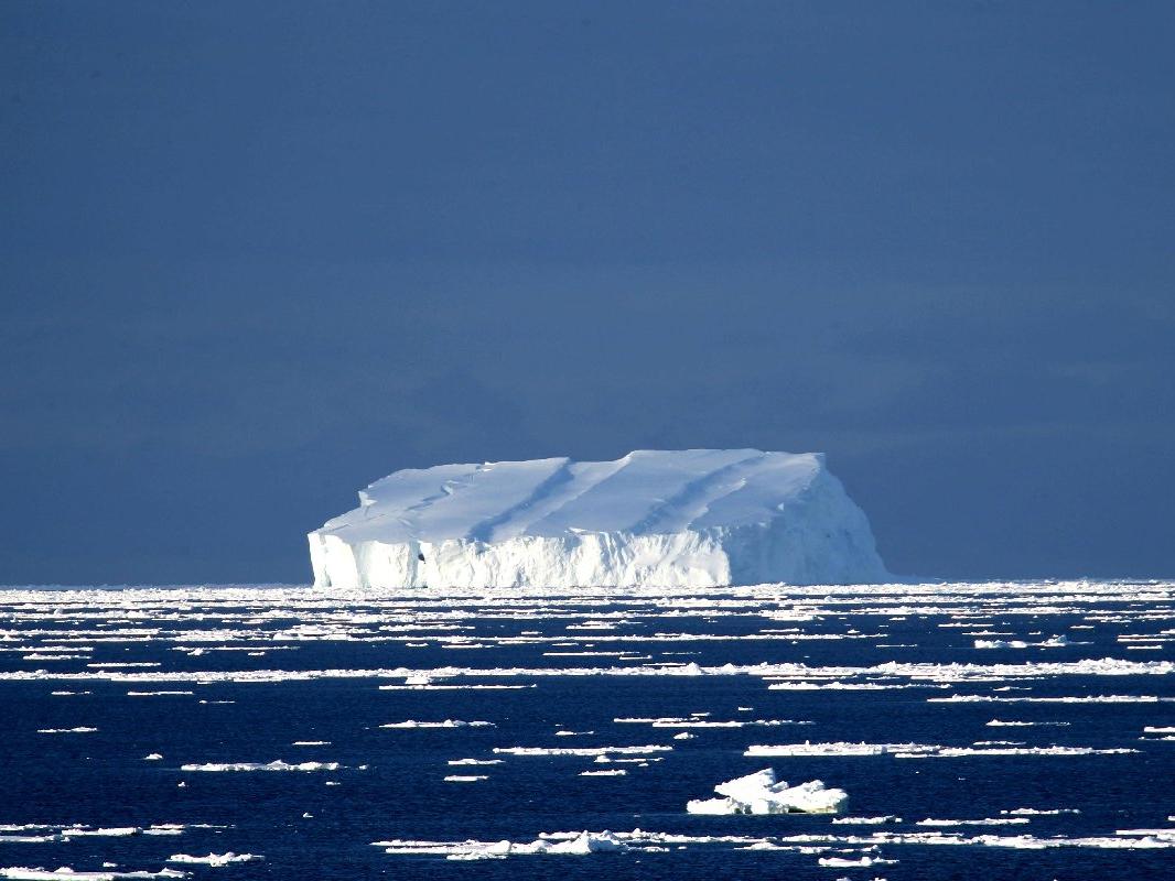 Antarktika'da dev buzul dağı ana karadan koptu
