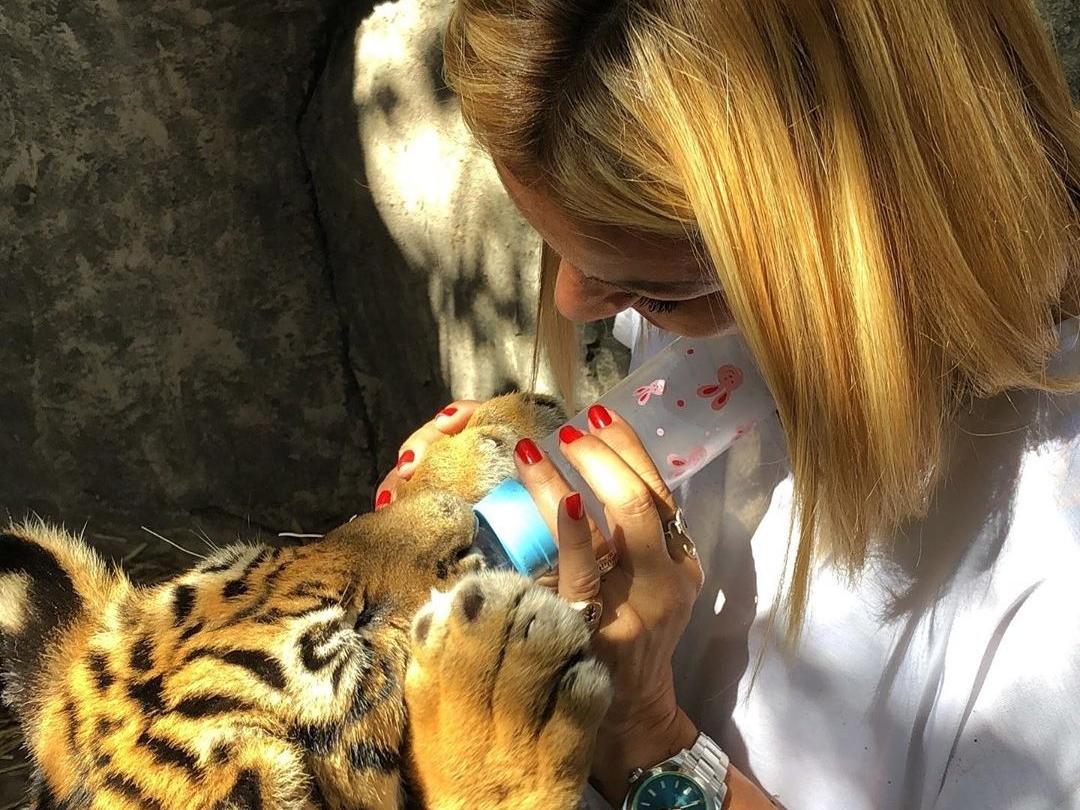 Pınar Altuğ aslan yavrularını elleriyle besledi