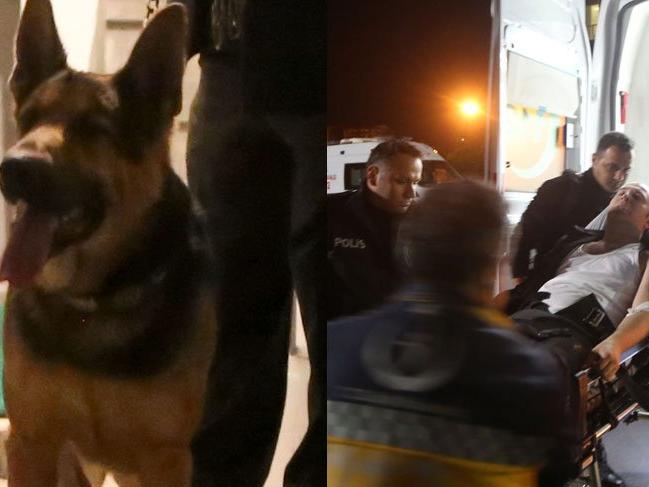 Polis, sahibine 'tasmasını tak' dediği köpeğin saldırısına uğradı