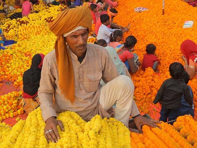 Hindistan'ın renkli yüzü: Çiçek pazarları