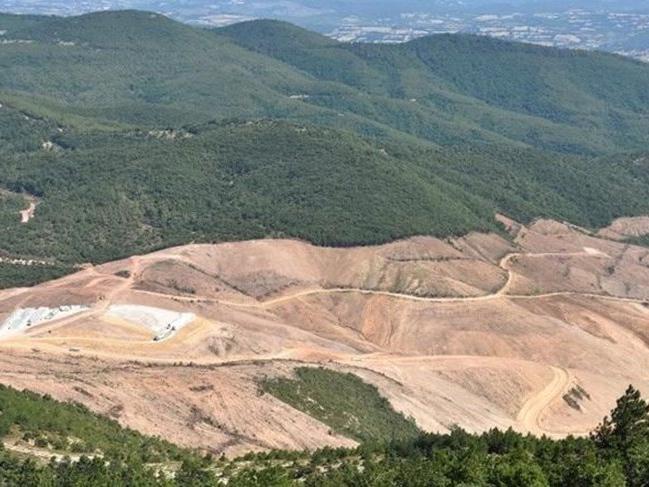 Kaz Dağları'nda binlerce ağaç kesen maden şirketinin faaliyeti durduruldu